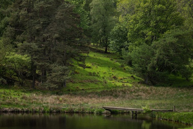 loch wedding 3